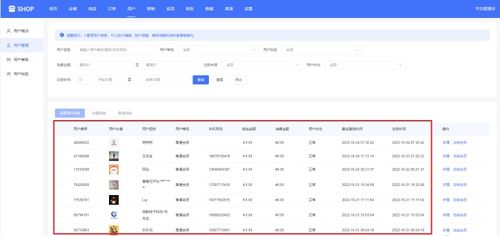 单商户商城系统功能拆解21 用户概况与管理